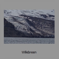 Willebreen